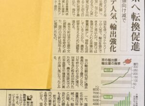 数百年の歴史と、伝統のある宇治茶