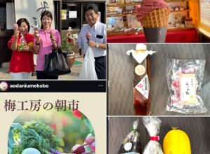 免許を返納した高齢者の、足の確保を！