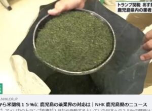 抹茶へのトランプ関税