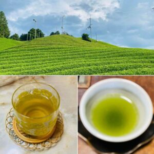 政治の主人公は、国民