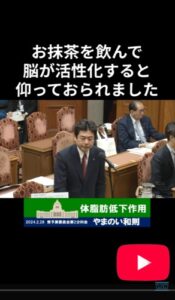 お抹茶を点て、玉露を淹れる理由