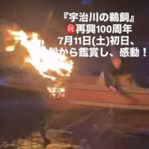 宇治川の鵜飼　再興100周年